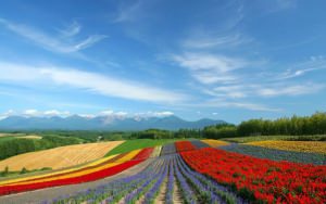 Repentance from Smallness