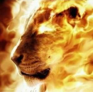 Remember The Fire