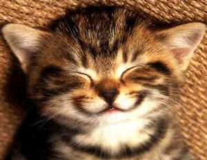 Contentment