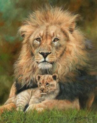 Protection